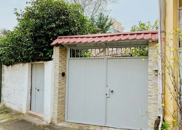 Orange Tree House