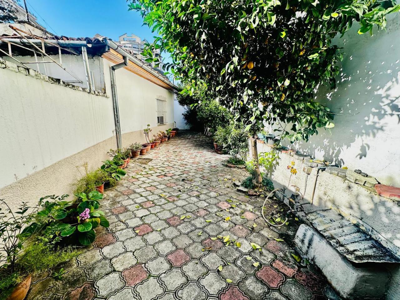 Orange Tree House *