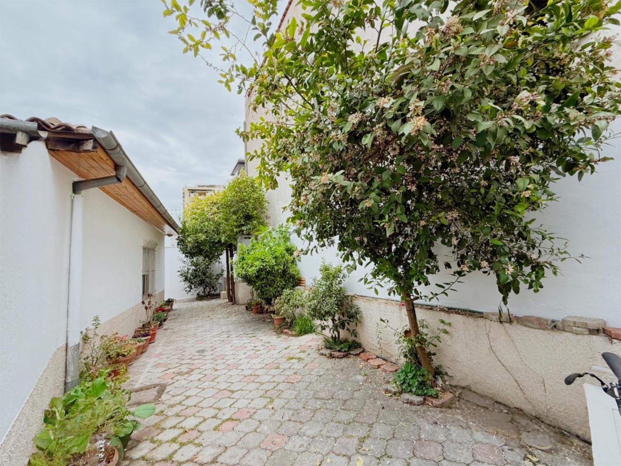 Orange Tree House Tirana